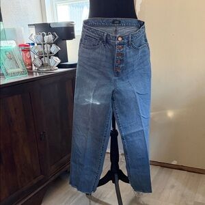 Express Flare Wide Leg Jeans in Blue